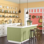 COTY Kitchen_Hubbard Sqaush SW 0044 Coral Reef 6606