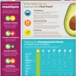 Nuevos trabajos de investigación guían sobre cómo elegir los primeros alimentos más aptos para sus bebés