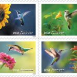 Garden Delights: These stamps will be available for mailers who enjoy adorning their cards and letters with beautiful stamps depicting nature scenes. In each of the four photographs, a different female ruby-throated hummingbird hovers next to either a zinnia, cigar flower, spotted touch-me-not or sunflower. Garden Delights will be issued in booklets of 20.