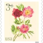 Low Denomination Flowers (1, 2, 3, 5 and 10 cents): A new series of low denomination stamps will debut in 2024. Each stamp will showcase a different flower design: 1-cent fringed tulip, 2-cent daffodils, 3-cent peonies, 5-cent red tulips and 10-cent poppies and coneflowers.