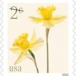 Low Denomination Flowers (1, 2, 3, 5 and 10 cents): A new series of low denomination stamps will debut in 2024. Each stamp will showcase a different flower design: 1-cent fringed tulip, 2-cent daffodils, 3-cent peonies, 5-cent red tulips and 10-cent poppies and coneflowers.