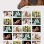Horses: This stamp issuance celebrates America&rsquo;s love of horses. Once instrumental in the early economic development of the United States, horses are now valued athletes and loyal companions, and are important in law enforcement, forestry, entertainment, equine therapy and cattle ranching. This pane of 20 stamps features five photographs of beautiful equines, each in profile.