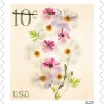 Low Denomination Flowers (1, 2, 3, 5 and 10 cents): A new series of low denomination stamps will debut in 2024. Each stamp will showcase a different flower design: 1-cent fringed tulip, 2-cent daffodils, 3-cent peonies, 5-cent red tulips and 10-cent poppies and coneflowers.
