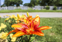 Final Open House of 2025 at Holy Name Cemetery & Mausoleum – Limited-Time 0% Interest Financing Available