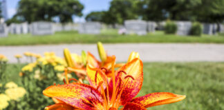 Final Open House of 2025 at Holy Name Cemetery & Mausoleum – Limited-Time 0% Interest Financing Available