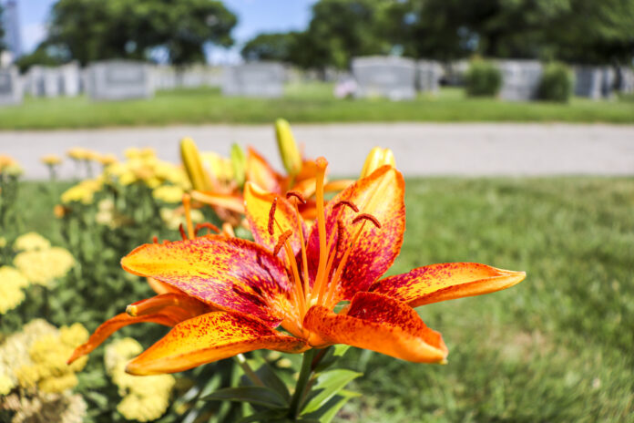 Holy Name Cemetery offers a magnificent park-like setting with traditional burial plots, private family estate areas, and sections for funeral services with family interment plots. No appointment is necessary and there is no obligation.