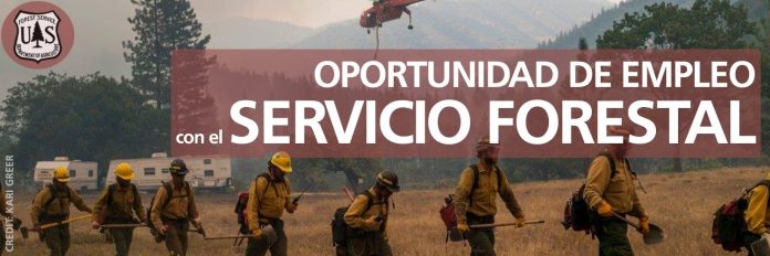 Forest-Service-Banner