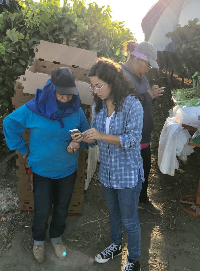 Faith Florez testing Calor app in the fields.
