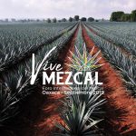 Oaxaca efectuara histórico «Foro Internacional Vive Mezcal 2019»