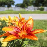 Lock In 2025 Prices at Holy Name Open House Before Season Event Ends This Weekend